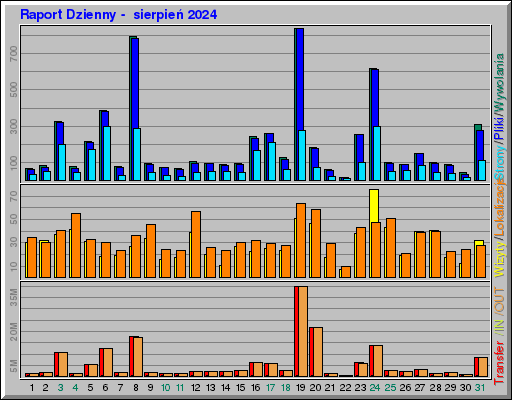 Raport Dzienny -  sierpień 2024