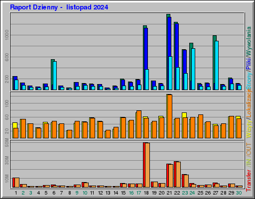 Raport Dzienny - listopad 2024 Raport Dzienny - listopad 2024