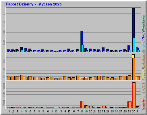 Raport Dzienny - styczeĹ 2025 Raport Dzienny - styczeĹ 2025