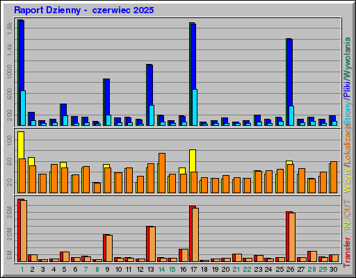 Raport Dzienny - czerwiec 2025 Raport Dzienny - czerwiec 2025