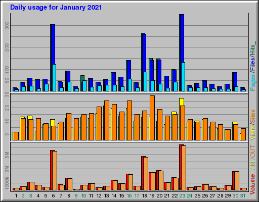 Raport Dzienny - styczeń 2021 Raport Dzienny - styczeń 2021