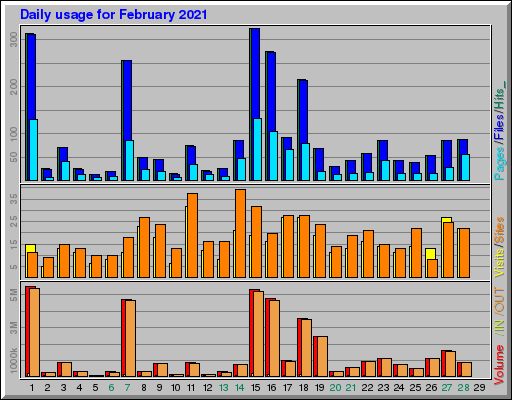 Raport Dzienny - luty 2021 Raport Dzienny - luty 2021
