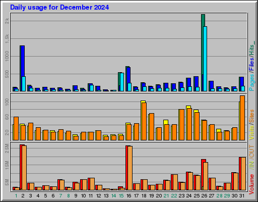 Raport Dzienny -  grudzień 2024