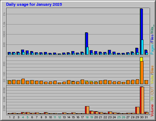 Raport Dzienny - styczeń 2025 Raport Dzienny - styczeń 2025