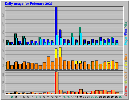 Raport Dzienny -  luty 2025