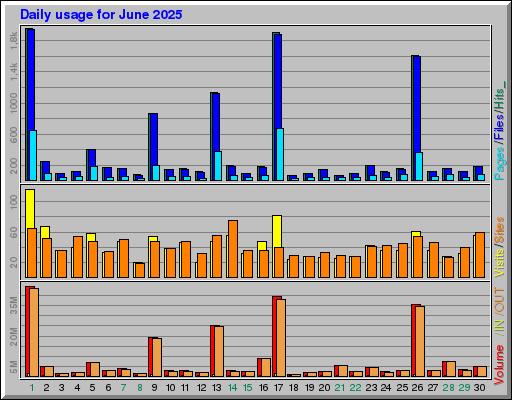 Raport Dzienny -  czerwiec 2025