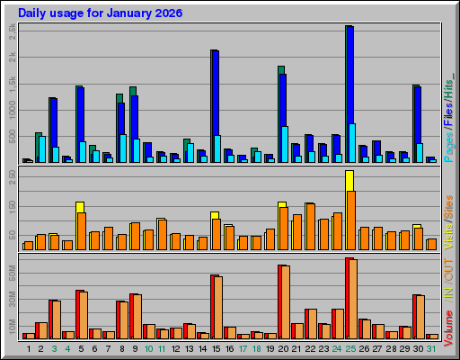 Raport Dzienny - styczeń 2026 Raport Dzienny - styczeń 2026