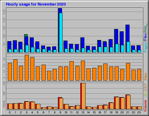 Raport Godzinowy - listopad 2020 Raport Godzinowy - listopad 2020