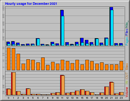 Raport Godzinowy - grudzień 2021 Raport Godzinowy - grudzień 2021