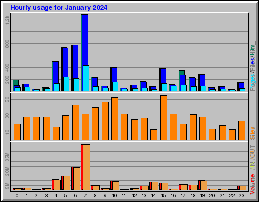 Raport Godzinowy - styczeń 2024 Raport Godzinowy - styczeń 2024