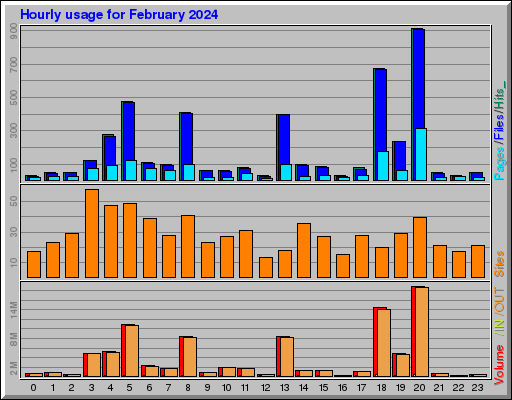 Raport Godzinowy -  luty 2024