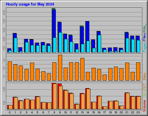 Raport Godzinowy -  Maj 2024