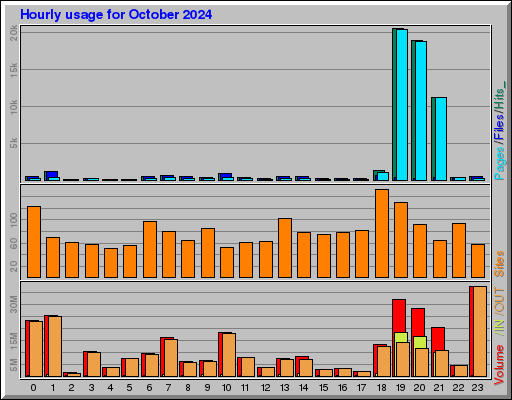 Raport Godzinowy -  październik 2024
