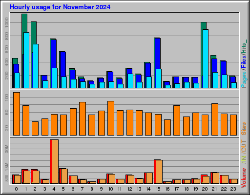 Raport Godzinowy -  listopad 2024