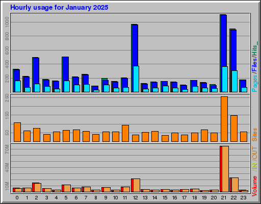Raport Godzinowy -  styczeń 2025