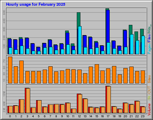 Raport Godzinowy -  luty 2025