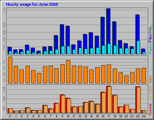 Raport Godzinowy -  czerwiec 2025