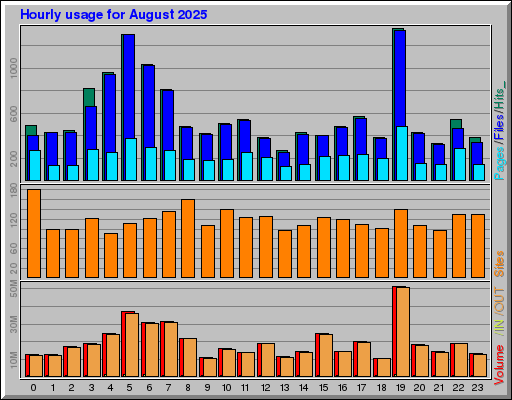 Raport Godzinowy -  sierpień 2025