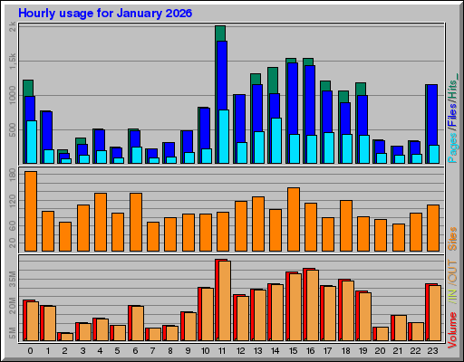 Raport Godzinowy -  styczeń 2026