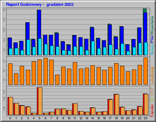 Raport Godzinowy -  grudzień 2022