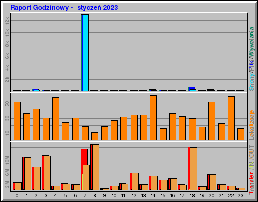 Raport Godzinowy -  styczeń 2023