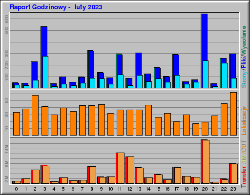 Raport Godzinowy -  luty 2023