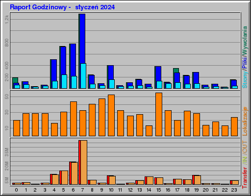 Raport Godzinowy -  styczeń 2024