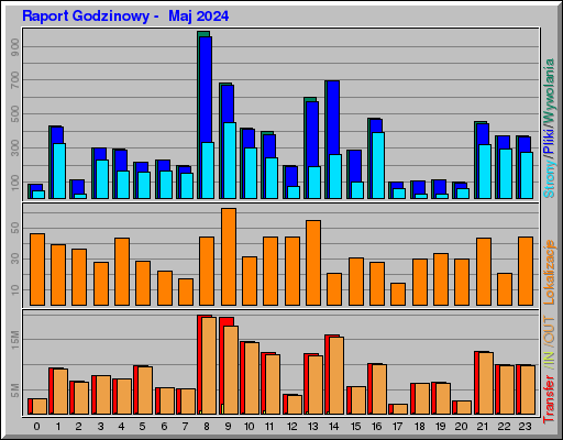 Raport Godzinowy -  Maj 2024