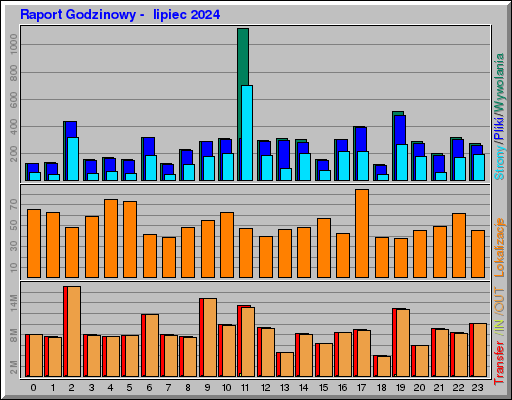 Raport Godzinowy -  lipiec 2024