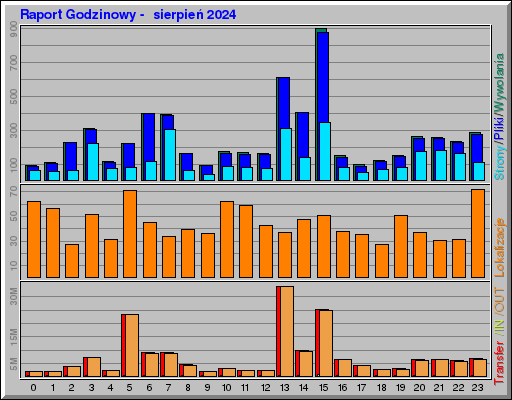 Raport Godzinowy -  sierpień 2024