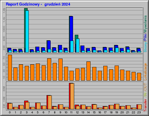 Raport Godzinowy -  grudzień 2024