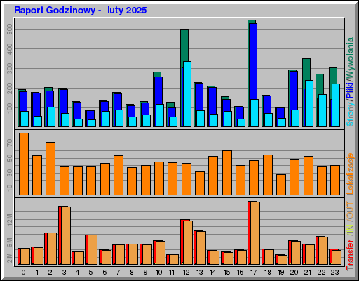 Raport Godzinowy - luty 2025 Raport Godzinowy - luty 2025