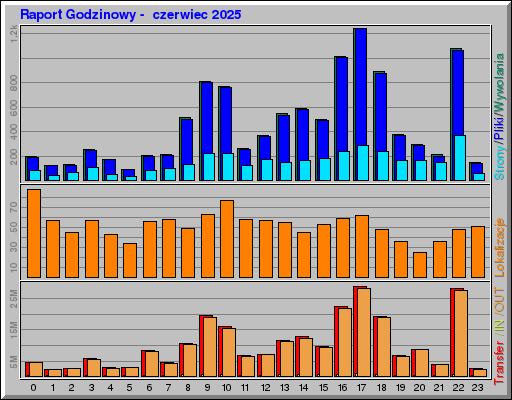 Raport Godzinowy -  czerwiec 2025
