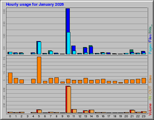 Raport Godzinowy -  styczeń 2026