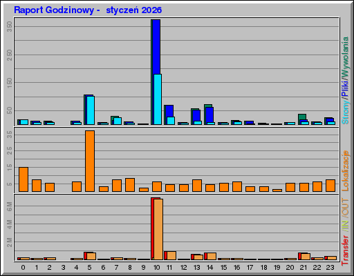 Raport Godzinowy -  styczeń 2026