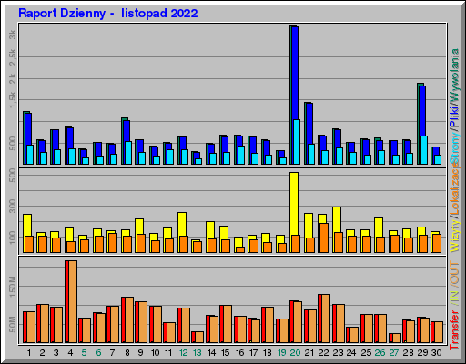 Raport Dzienny -  listopad 2022
