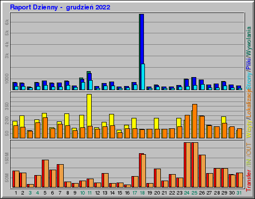 Raport Dzienny -  grudzień 2022