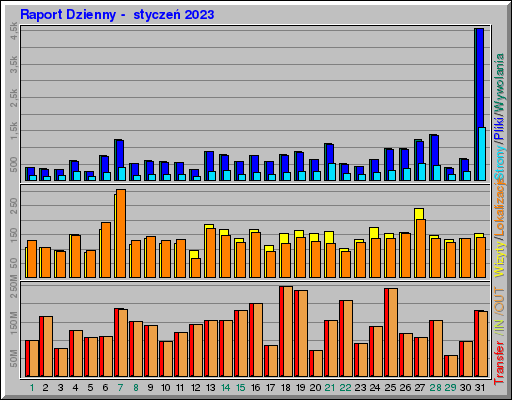 Raport Dzienny -  styczeń 2023