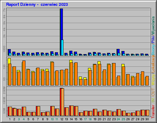 Raport Dzienny - czerwiec 2023 Raport Dzienny - czerwiec 2023
