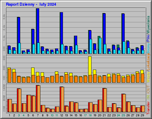 Raport Dzienny - luty 2024 Raport Dzienny - luty 2024