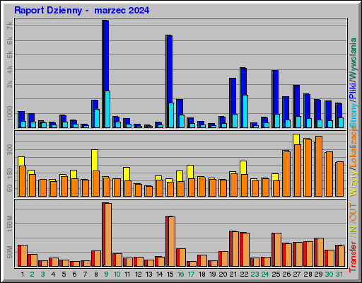 Raport Dzienny -  marzec 2024