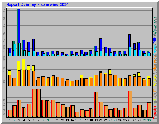 Raport Dzienny -  czerwiec 2024