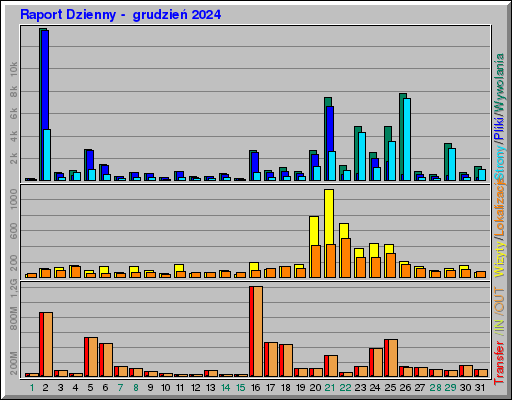 Raport Dzienny -  grudzień 2024