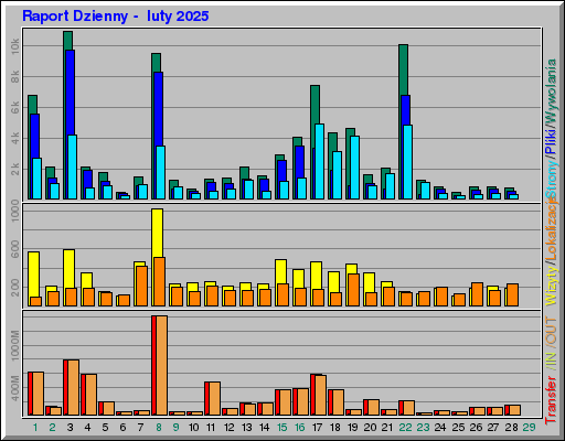 Raport Dzienny -  luty 2025