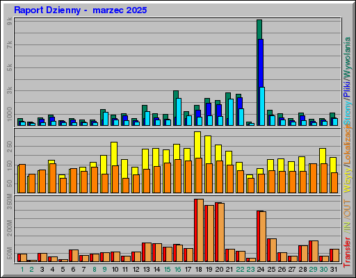 Raport Dzienny -  marzec 2025