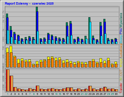 Raport Dzienny -  czerwiec 2025
