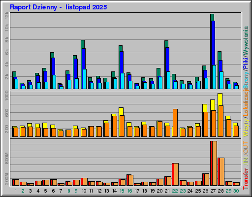 Raport Dzienny -  listopad 2025