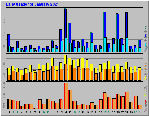 Raport Dzienny -  styczeń 2021