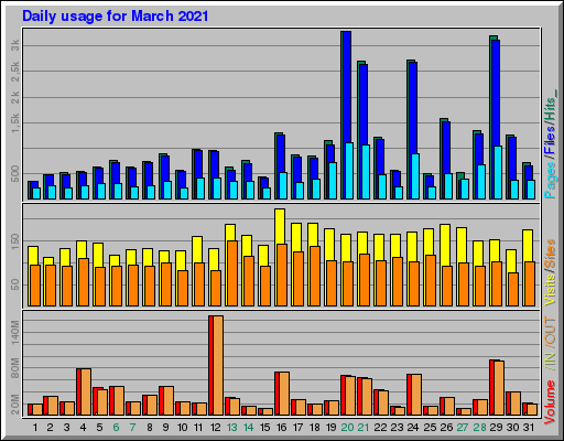 Raport Dzienny -  marzec 2021