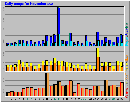 Raport Dzienny -  listopad 2021